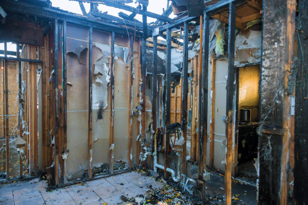 Professional Fire Damage Assessment technician working in Cottage Grove, MN