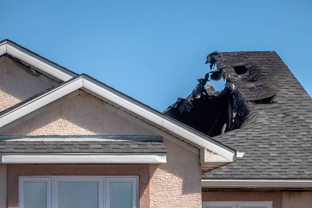 Top rated local Fire Damage Assessment specialists in Cottage Grove, MN